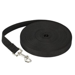 Basic Nylon Dog Lead Leash
