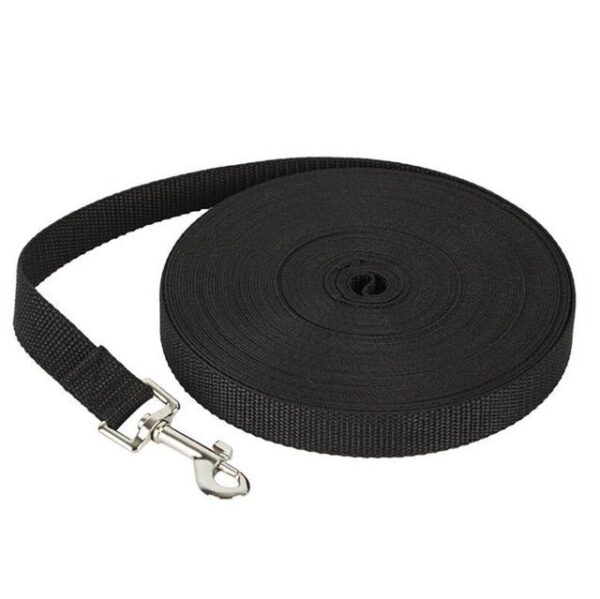 Basic Nylon Dog Lead Leash